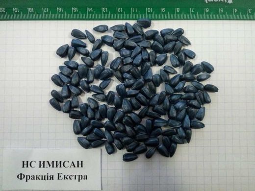 Семена Подсолнечника НС ИМИСАН 110-112 дн (под евро-лайтнинг)(Serbia), 2023, Стандарт