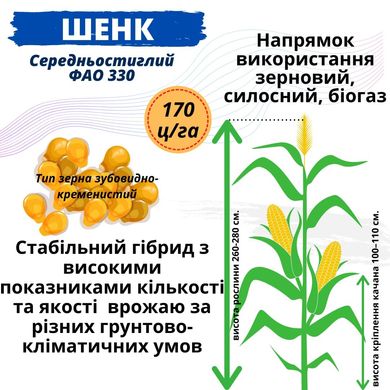 Семена Кукурузы гибрид - ШЕНК ФАО 330