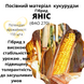 Насіння кукурудзи гібрид ЯНІС (ФАО 270), 2023