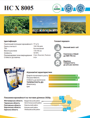 насіння соняшнику сербської селекції НС Х 8005 (Експресс, ЕкспрессСан, SUMO)