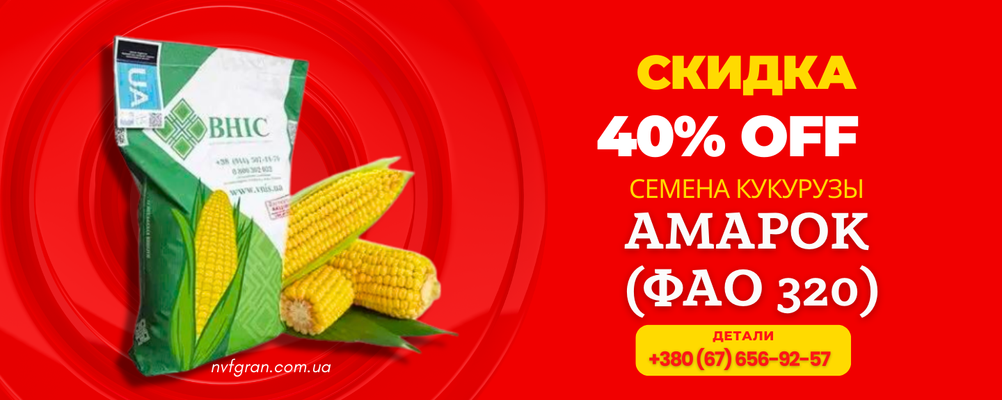 Семена кукурузы от украинской селекции ВНИС, АМАРОК ФАО 320. Со скидкой