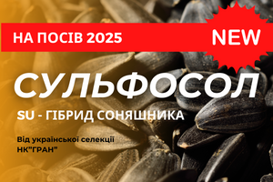 СУЛЬФОСОЛ - Su - гібрид соняшника від Української селекції НК"ГРАН"