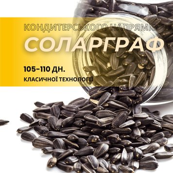 Насіння соняшника кондитерського напряму гібрид СОЛАРГРАФ (105-110 дн.)