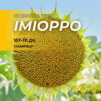 ІМІОРРО (107-111 дн.) Новинка 2025. Насіння соняшника під CLEARFIELD&reg; технологію