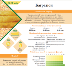 Цукрова кукурудза Багратіон 