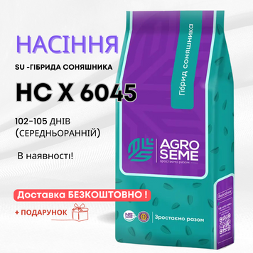 Соняшник гібрид НС Х 6045 (102-105 дн) Високий потенціал врожайності та олійності для стабільних урожаїв