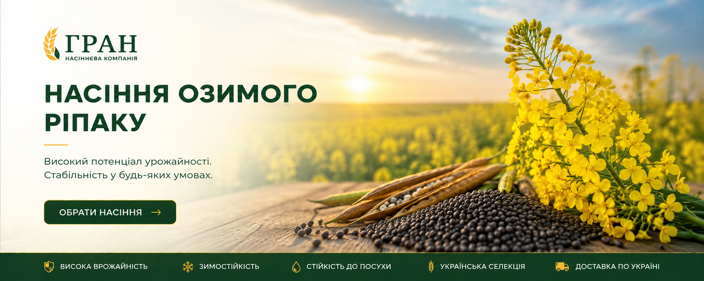 насіння озимого ріпаку Української селекції купити від виробника