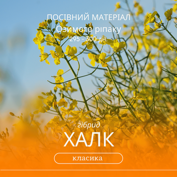 Насіння озимого ріпаку ХАЛК (КЛАСИКА) гібрид 295-300 дн., ранньостиглий, від Української селекції Вніс