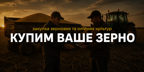 Banner from design