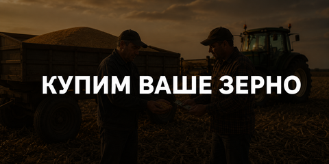Banner from design