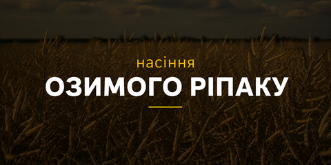 Banner from design