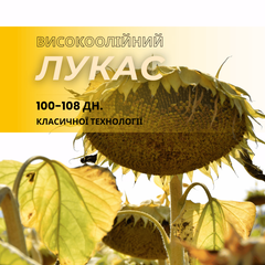 ЛУКАС OR 7 -100-108дн., посухостійкий , високоурожайний (КЛАСИКА)