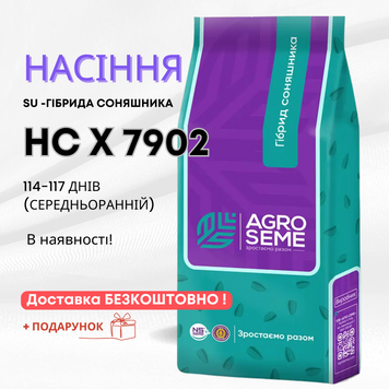 Соняшник гібрид НС Х 7902 (114-117 дн) AGRO SEME. Високий потенціал врожайності та олійності для інтенсивного вирощування