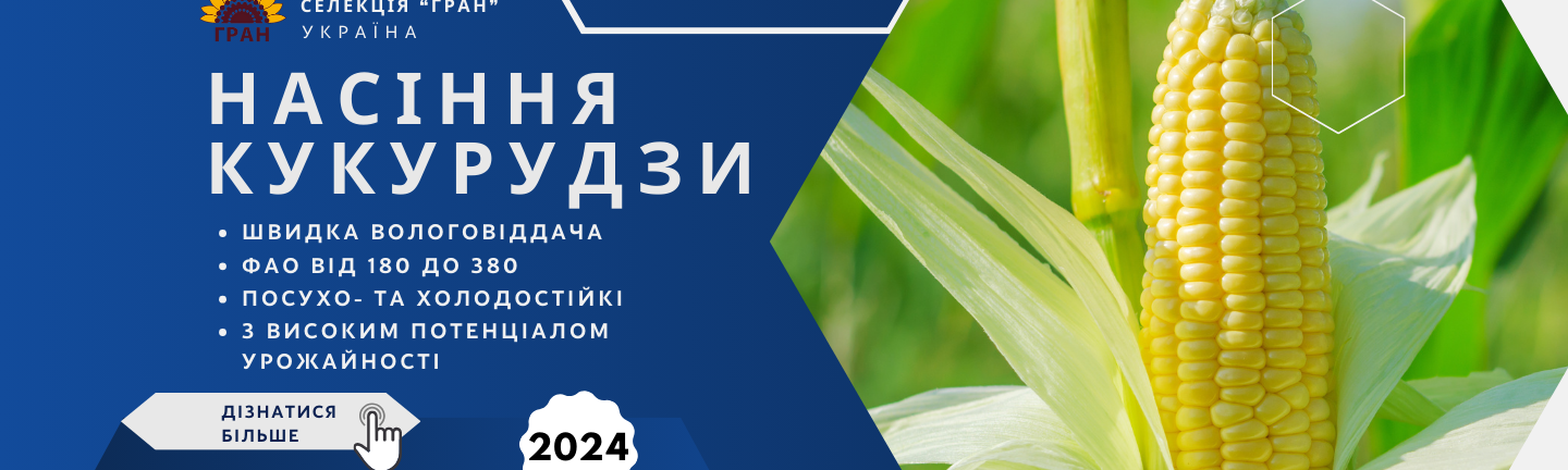Насіння кукурудзи 2024 українська селекція ГРАН