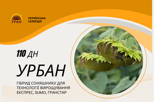 УРБАН (110 дн)  хіт продажів 2024