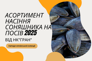 Насіння соняшника на посів 2025р, від НК "ГРАН"