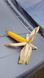 Насіння кукурудзи гібрид ОНІКС (ФАО 350)