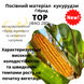Семена кукурузы Тор (ФАО 280), 2023