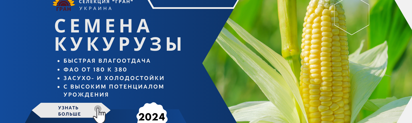 Семена кукурузы 2024 украинская селекция ГРАН