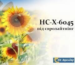 Насіння соняшника  гібрид соняшника НС Х 6045 (під євро-лайтнінг)Сербської селекції