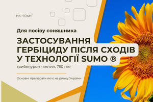 Рекомендації по застосуванню гербіцидів на основі трибенурон – метилу (SU) на соняшнику