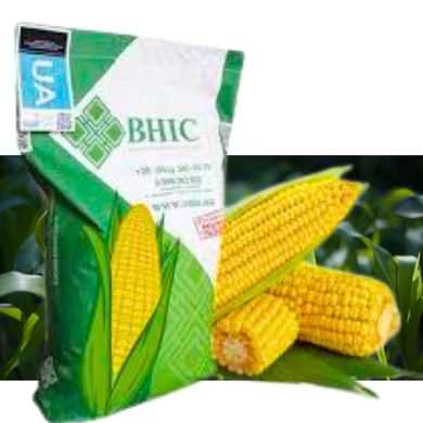 Семена кукурузы гибрид ВН 63 (ФАО 280)