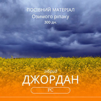 Насіння озимого ріпаку ДЖОРДАН РС /  гібрид 300 дн. середньоранній