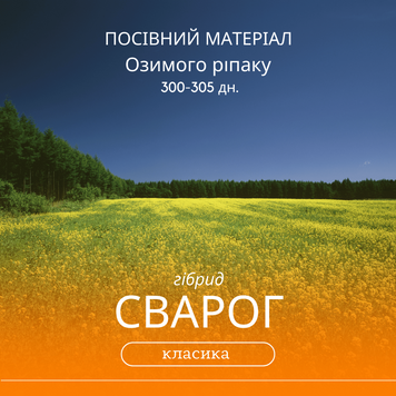 Насіння озимого ріпаку СВАРОГ ( класика ) гібрид 300 - 305 днів
