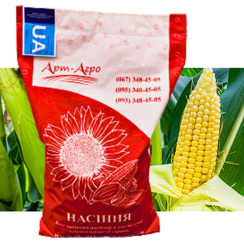ЛАРСОН ( ФАО 250) насіння гібрида кукурудзи з покращеною посухостійкістю, стійкістю до хвороб та оптимальною вологовіддачею