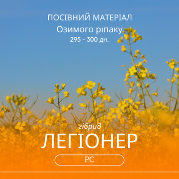 Насіння озимого ріпаку  ЛЕГІОНЕР (під гліфосат) гібрид 295 - 300 днів