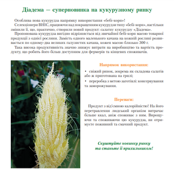 Семена сахарной кукурузы ДИАДЕМА
