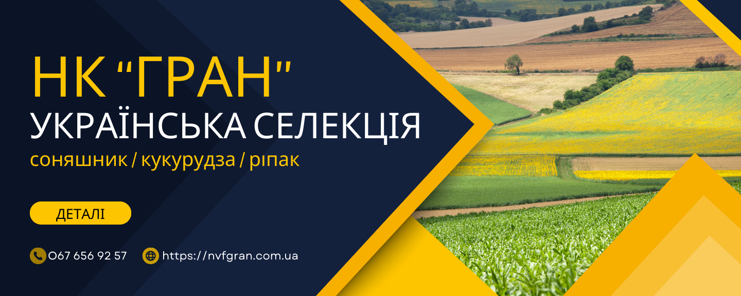 Насіння від виробника України соняшник, кукурудза , ріпак