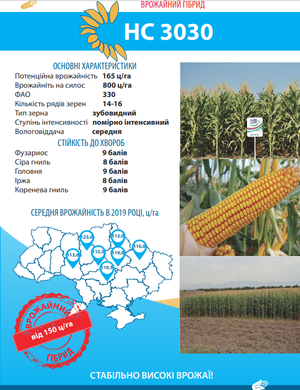 Семена кукурузы НС 3030 (ФАО 330)