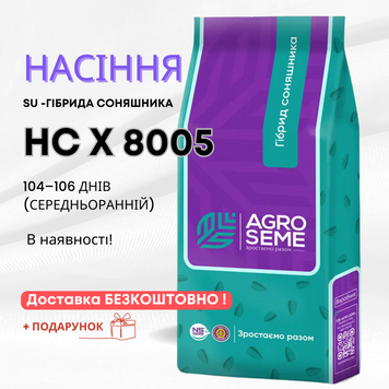Соняшник НСХ 8005 (104-106 дн) від провідного виробника АгроСеме