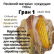 Насіння кукурудзи ГРАН 1 (ФАО 370)