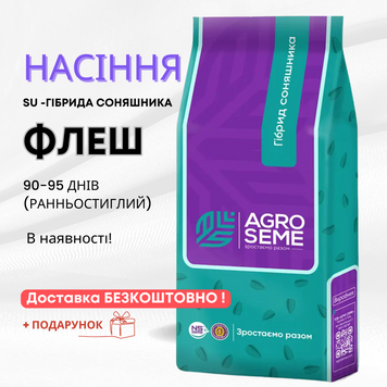Соняшник гібрид ФЛЕШ (90-95 дн.) від провідного виробника AGRO SEME, ранньостиглий