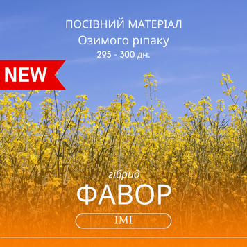 Насіння озимого ріпаку ФАВОР ІМІ - 295-300 дн., ранньостиглий,